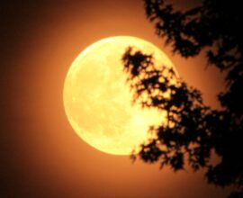 Last supermoon of 2025 shining brightly on Margashirsha Purnima