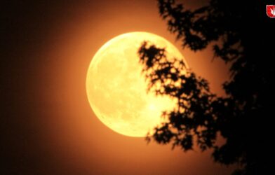 Last supermoon of 2025 shining brightly on Margashirsha Purnima