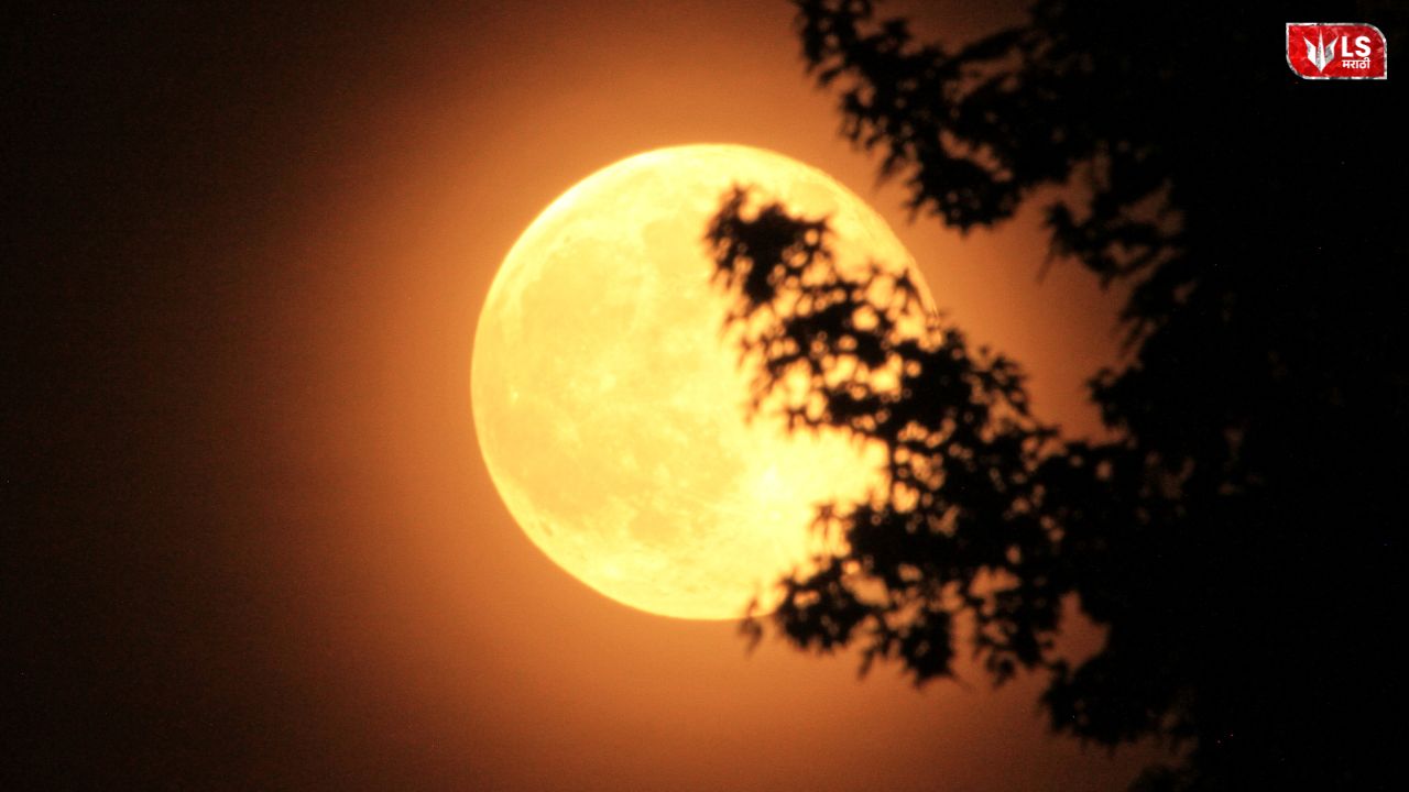 Last supermoon of 2025 shining brightly on Margashirsha Purnima