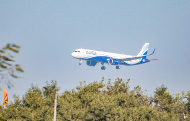 Indigo Incredible Offer