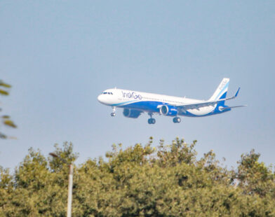 Indigo Incredible Offer