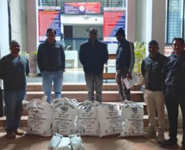 Cannabis plants worth Rs 15.19 lakh seized from backyard in Korchi taluka village