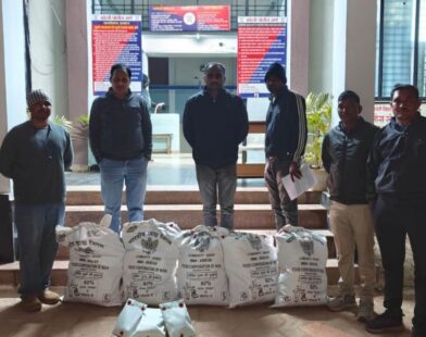 Cannabis plants worth Rs 15.19 lakh seized from backyard in Korchi taluka village