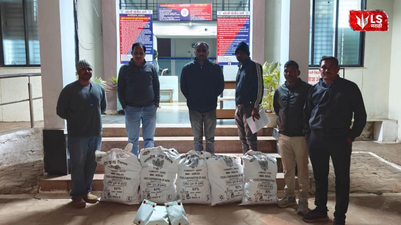 Cannabis plants worth Rs 15.19 lakh seized from backyard in Korchi taluka village