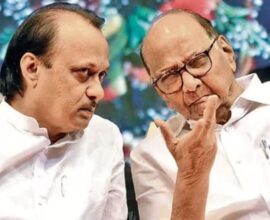 NCP Zilla Parishad Panchayat Samiti Election