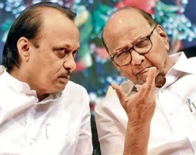 NCP Zilla Parishad Panchayat Samiti Election