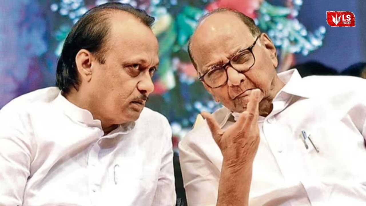 NCP Zilla Parishad Panchayat Samiti Election