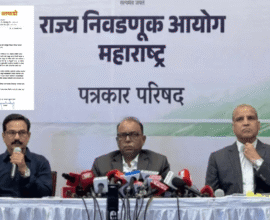 Postpone District Council Elections