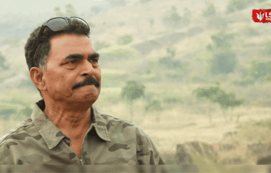 Environmental damage