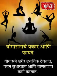 Website Web stories (13)