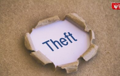 Farmer files police complaint after hard-earned crop stolen from farm