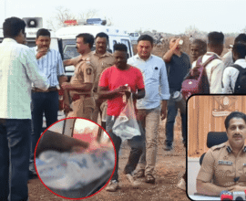 Padmalaya Jungle Massacre