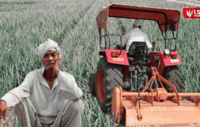 Farmer Destroys Onion Crop Due to Low Prices
