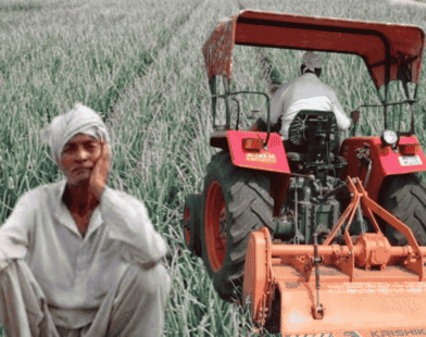 Farmer Destroys Onion Crop Due to Low Prices