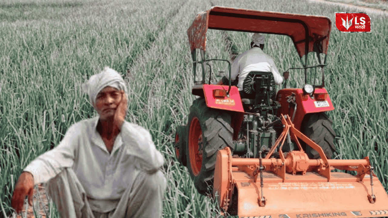 Farmer Destroys Onion Crop Due to Low Prices