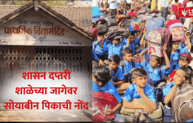 Record of soybean crop on school premises