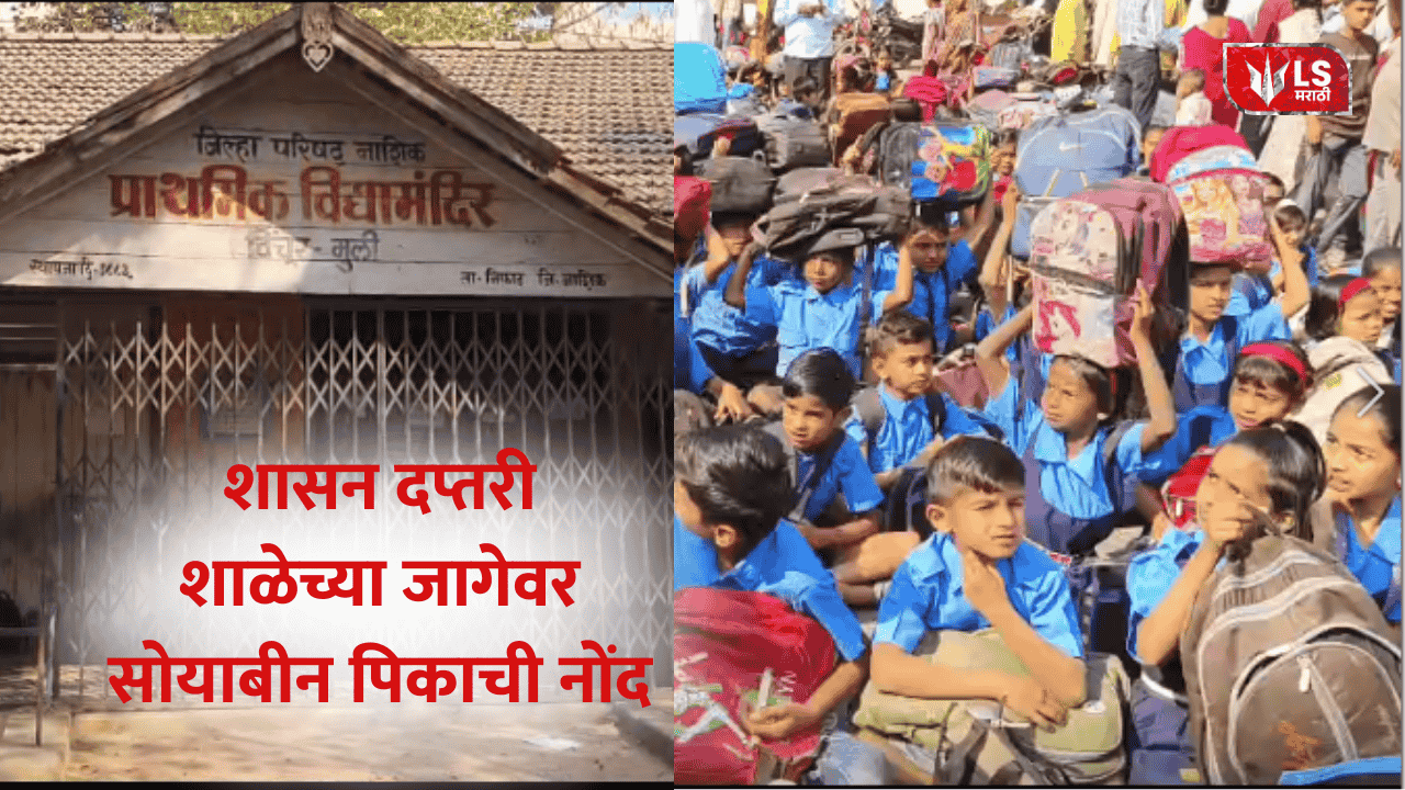 Record of soybean crop on school premises