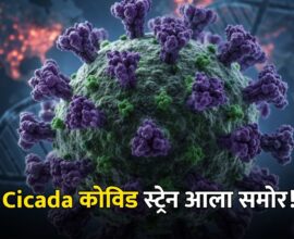 Cicada Covid