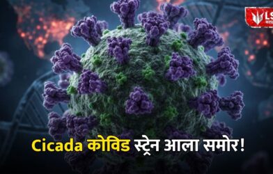 Cicada Covid