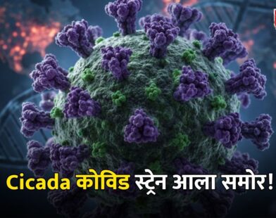 Cicada Covid