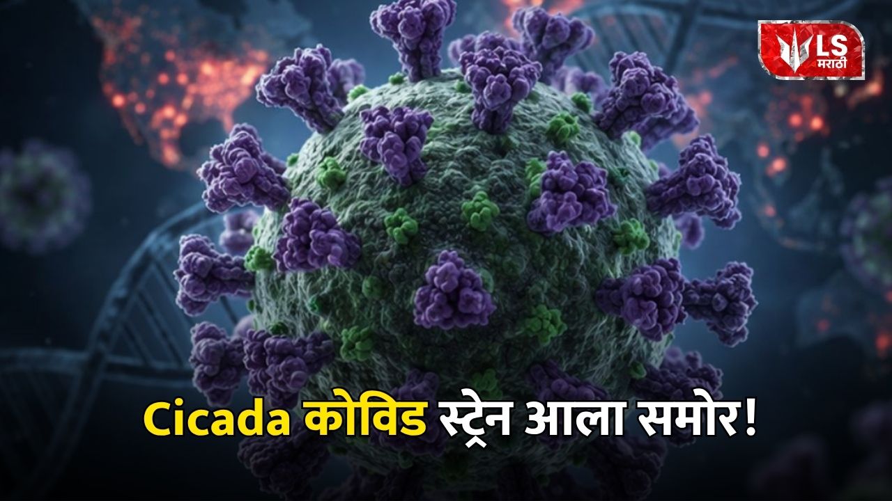 Cicada Covid