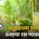 Sugarcane Juice for Diabetes 80x80