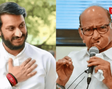 Parth Pawar's wealth