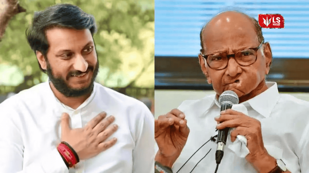 Parth Pawar's wealth