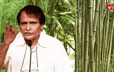 Suresh Prabhu on Bamboo Industry