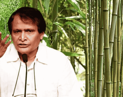 Suresh Prabhu on Bamboo Industry