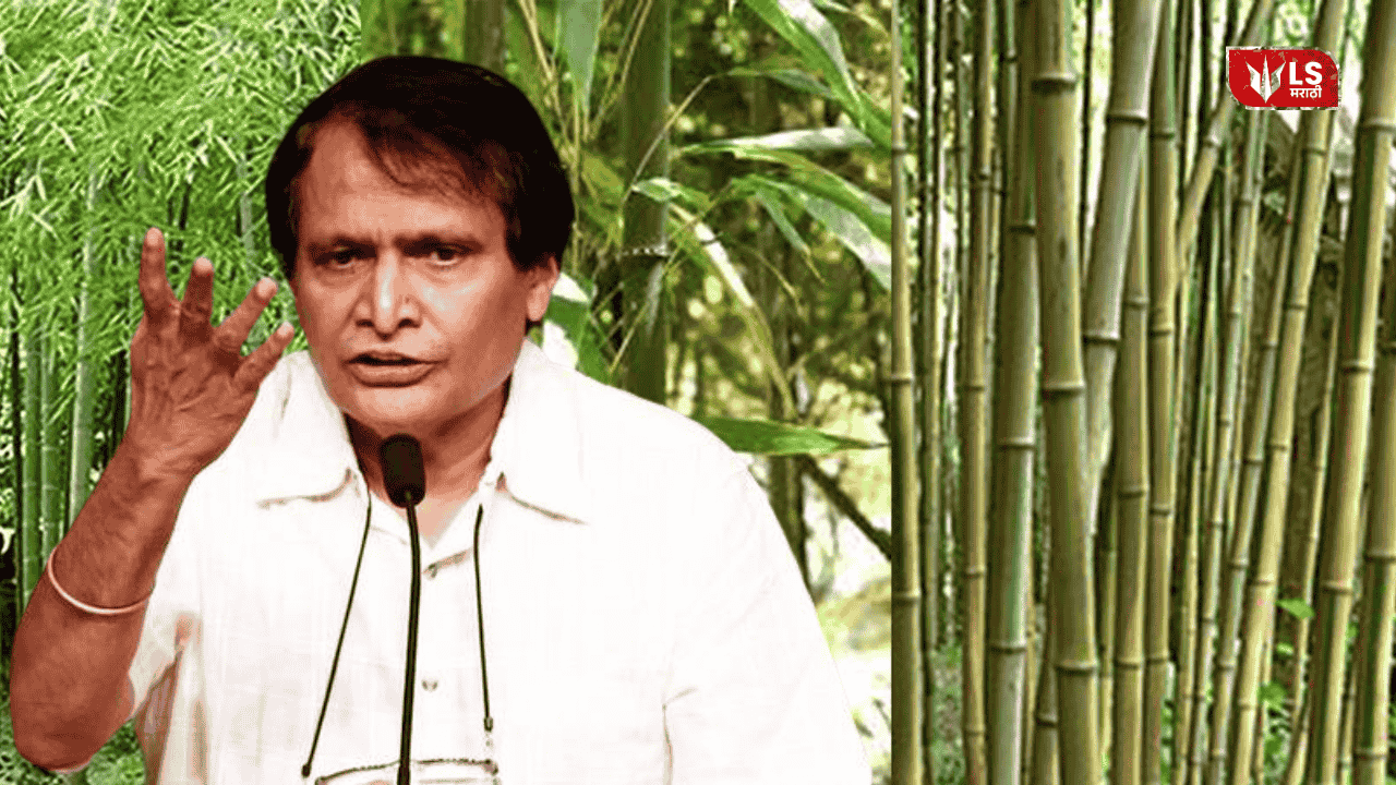 Suresh Prabhu on Bamboo Industry