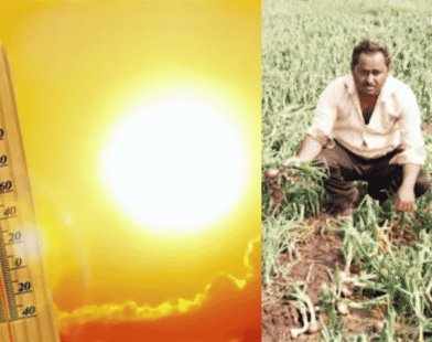 Heatwave, thunder, and rain