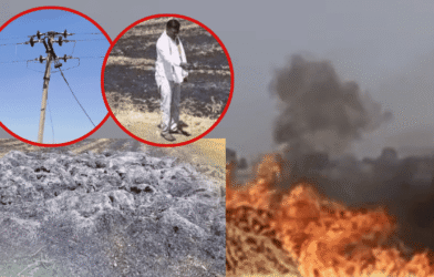 Farmer wheat crop fire Akola