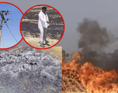 Farmer wheat crop fire Akola