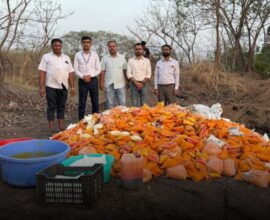 Pune mango pulp scam