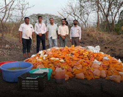 Pune mango pulp scam