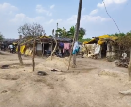 village families living in dense forest 42 years