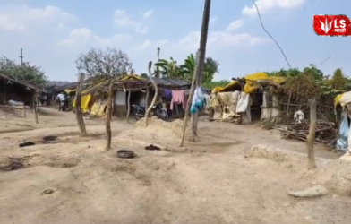 village families living in dense forest 42 years
