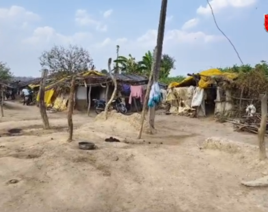 village families living in dense forest 42 years
