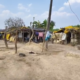 village families living in dense forest 42 years