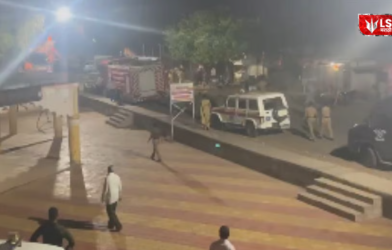 Madha Shivaji Maharaj statue controversy