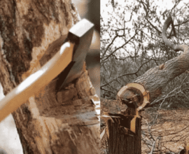 environment destruction