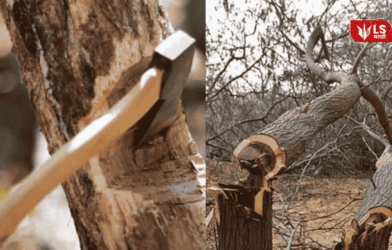 environment destruction