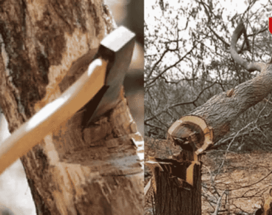 environment destruction