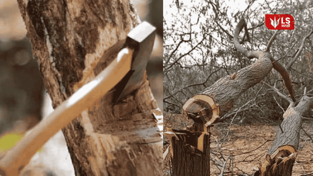 environment destruction