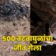 Bat Deaths Vidarbha 80x80