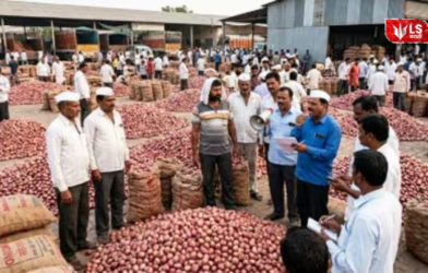 onion price crash farmers
