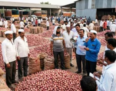 onion price crash farmers