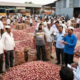 onion price crash farmers
