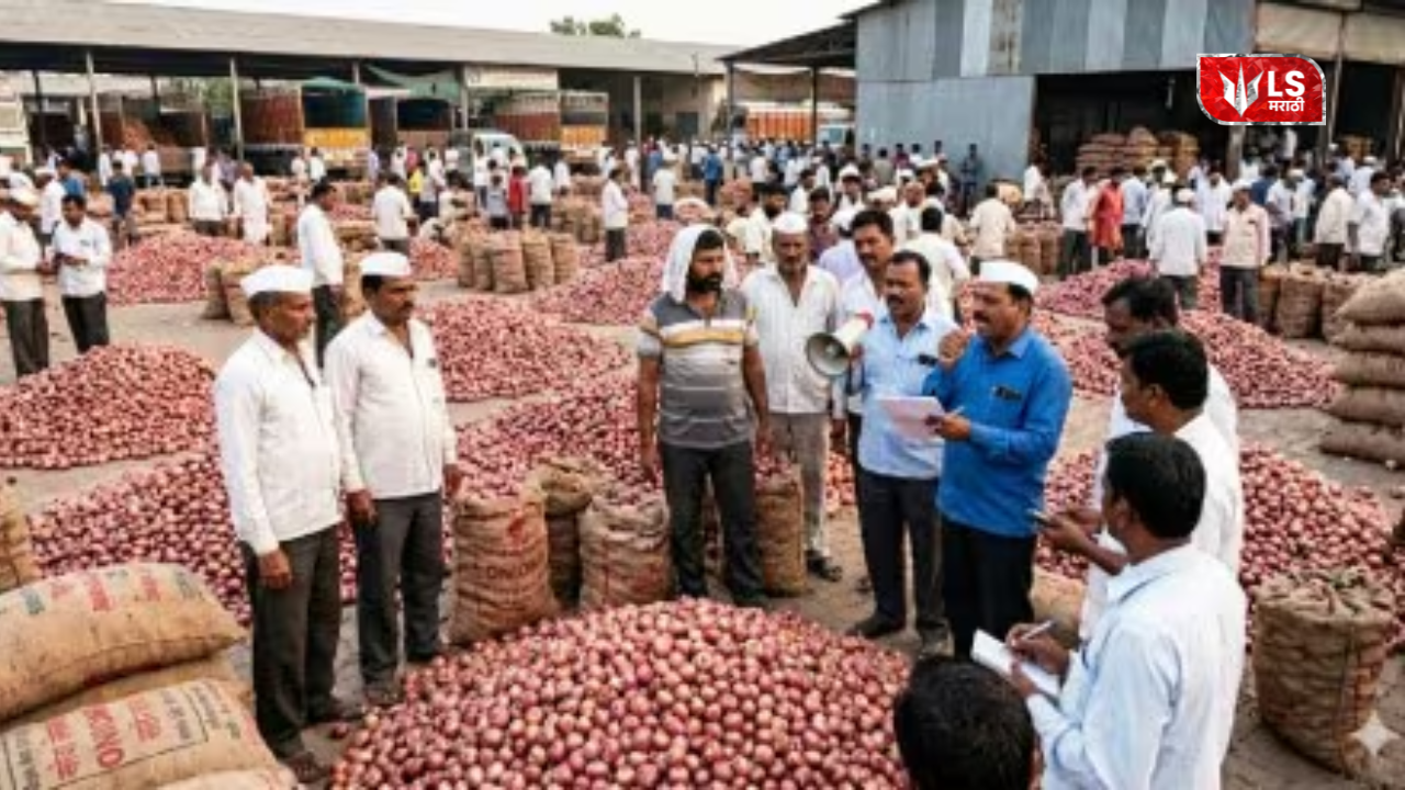 onion price crash farmers